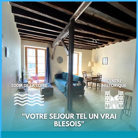 L'Escapade Blesoise - Hyper Centre Apartment Blois Luaran gambar
