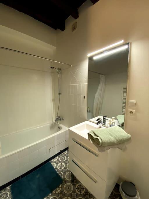 L'Escapade Blesoise - Hyper Centre Apartment Blois Luaran gambar